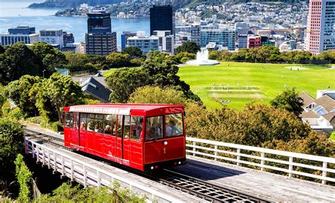THE TOP 10 Wellington Tours & Excursions (UPDATED 2024) .